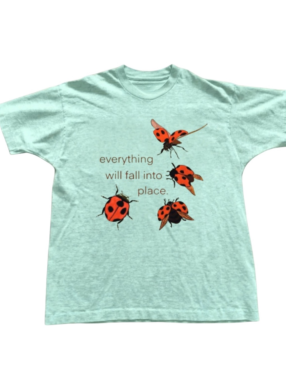 Gildan Mint Green Ladybug Graphic Tee - Everything Will Fall Into Place